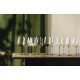 Eisch INSPIRE SENSISPLUS 2 db univerzális borospohár borostyán refreshing & light 4dl 242 mm