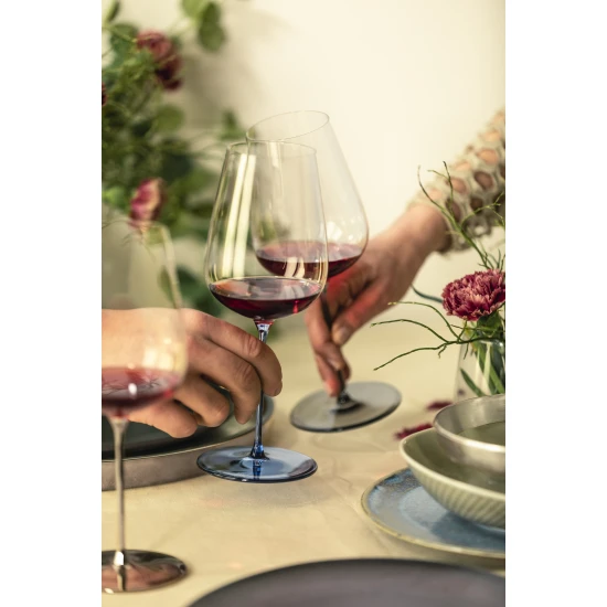 Eisch INSPIRE SENSISPLUS 2 db univerzális borospohár szürke fruity & aromatic 5,8dl 237 mm