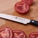 ZWILLING Gourmet | többcélú kés 13 cm | színtelen