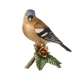 Goebel - Figurine Chaffinch - Erdei pinty 10 cm