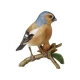 Goebel - Figurine Chaffinch - Erdei pinty 10 cm