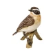 Goebel - Bird of the Year 2023 Whinchat 9 cm