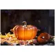 Staub kerámia Cocotte | 15cm | 0.70l | fahéjszínű | pumpkin Staub kerámia Cocotte | 15cm | 0.70l | fahéjszínű | pumpkin