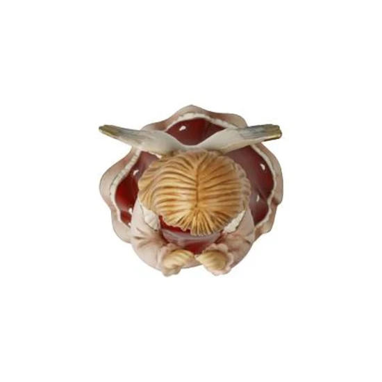 You are my sweetheart angyal kerámia  14.5 cm