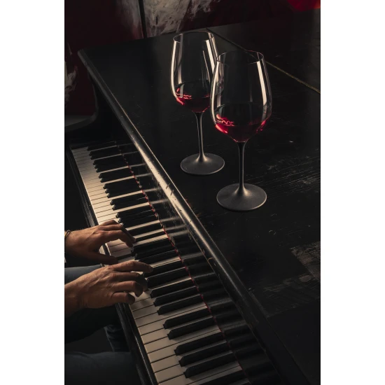 Eisch KAYA BLACK 2 db pezsgőspohár díszdobozban  2,78dl 235 mm