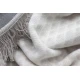 Biederlack Wohndecke Bright Day Silver pléd 150x200 cm